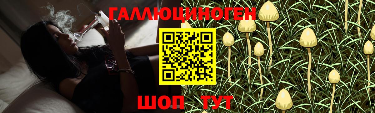 Псилоцибиновые грибы Psilocybine cubensis  Вход с VPN  Армавир 